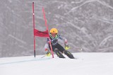 IMG_8601