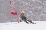 IMG_8602