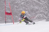 IMG_8604