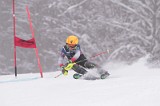 IMG_8605