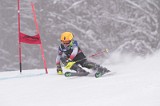 IMG_8606
