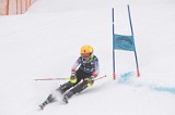 IMG_8610