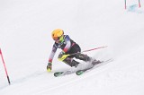 IMG_8611