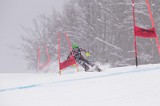 IMG_8617