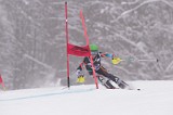 IMG_8619