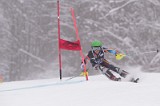 IMG_8620