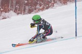 IMG_8630