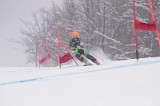 IMG_8634