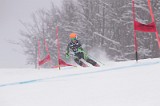 IMG_8635