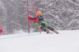 IMG_8636
