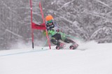 IMG_8637