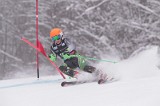 IMG_8638