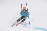 IMG_8639