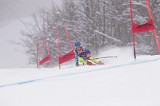 IMG_8647