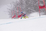 IMG_8648