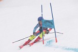 IMG_8654
