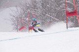 IMG_8661