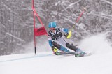 IMG_8665