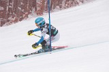 IMG_8674