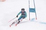 IMG_8684