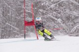IMG_8696