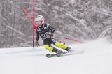 IMG_8698