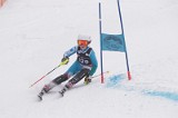 IMG_8719