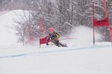 IMG_8729