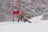 IMG_8730