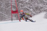 IMG_8731