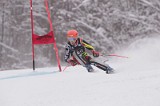 IMG_8733