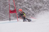 IMG_8734