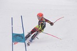 IMG_8735