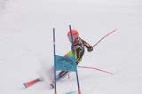 IMG_8736
