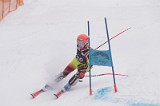 IMG_8737