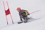 IMG_8742