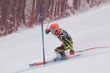 IMG_8744