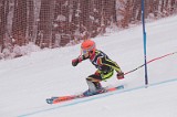 IMG_8745
