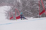 IMG_8762