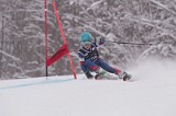IMG_8767