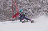 IMG_8768