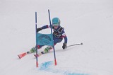 IMG_8769