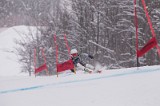 IMG_8778