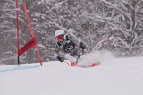 IMG_8782