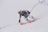 IMG_8788