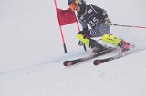 IMG_8821
