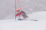 IMG_8828