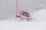 IMG_8829