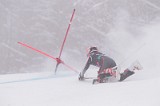 IMG_8831