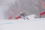 IMG_8833